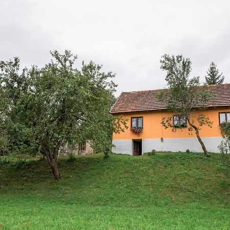 Apartament Kuca Za Odmor Jagnjic Josipdol Zewnętrze zdjęcie